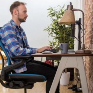 Cognitive Ergonomics Cause and Consequences